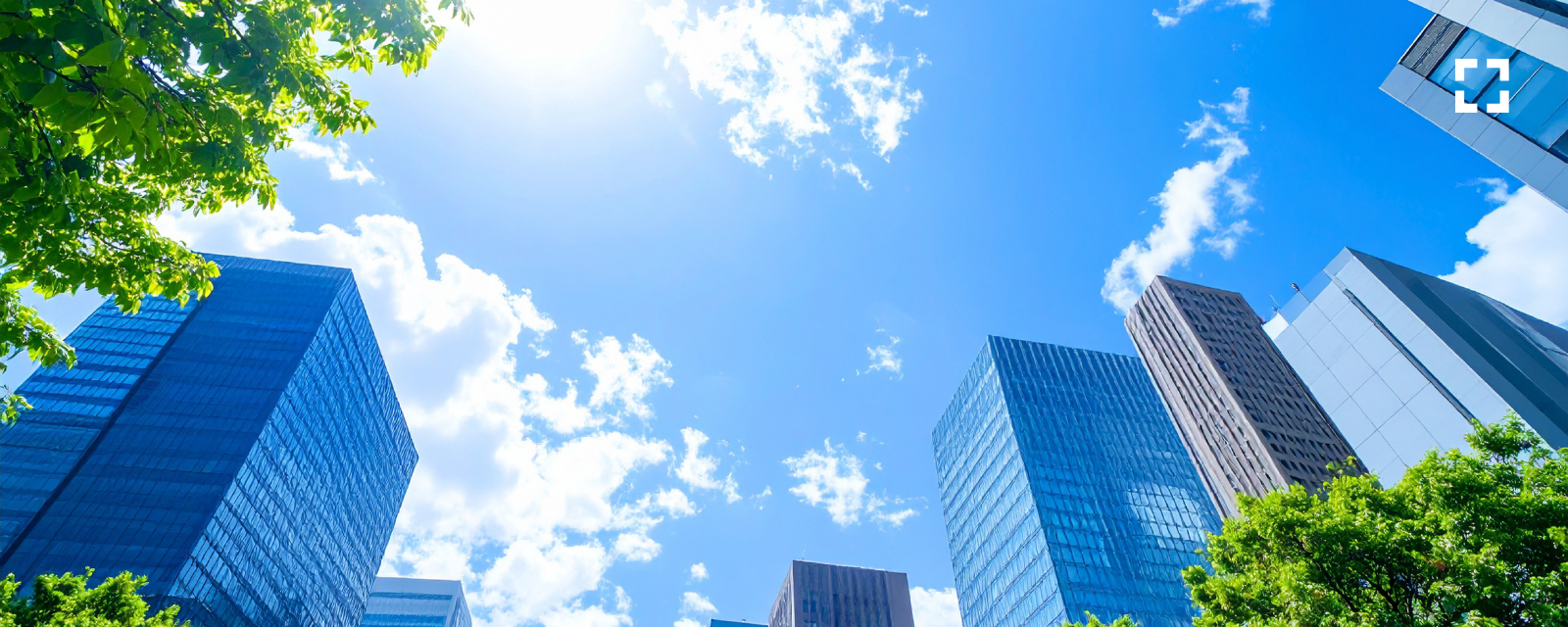 From Startup to Legal Tech Leader The Uptime Legal Story